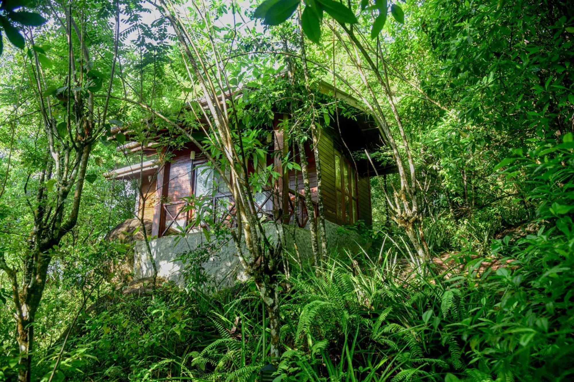 Sinharaja Rest 호텔 데니야야 외부 사진